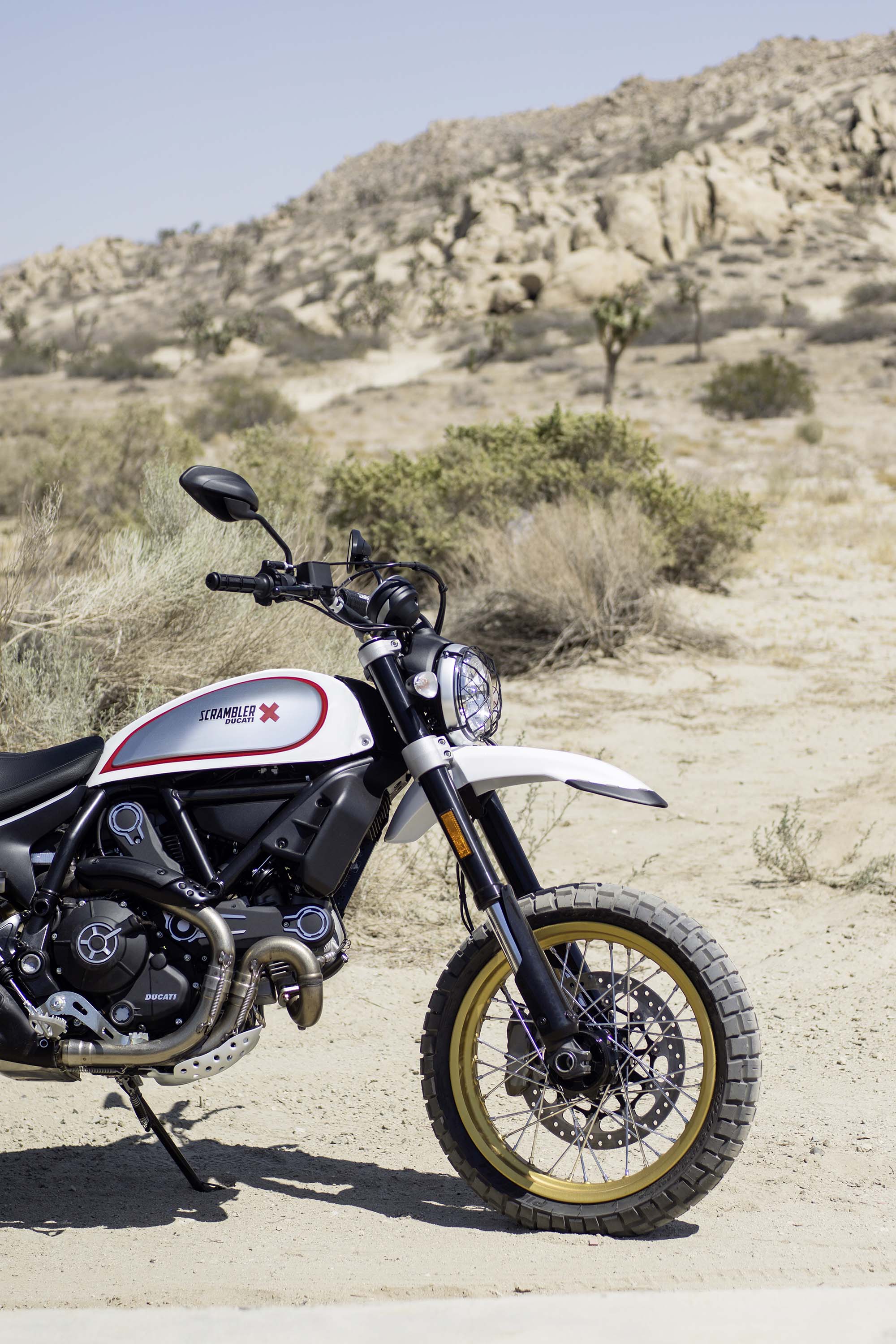 Ducati Scrambler Desert Sled - Got Roost? (2000 x 3000 Pixel)